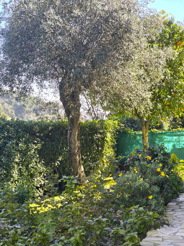 Maison à GORBIO