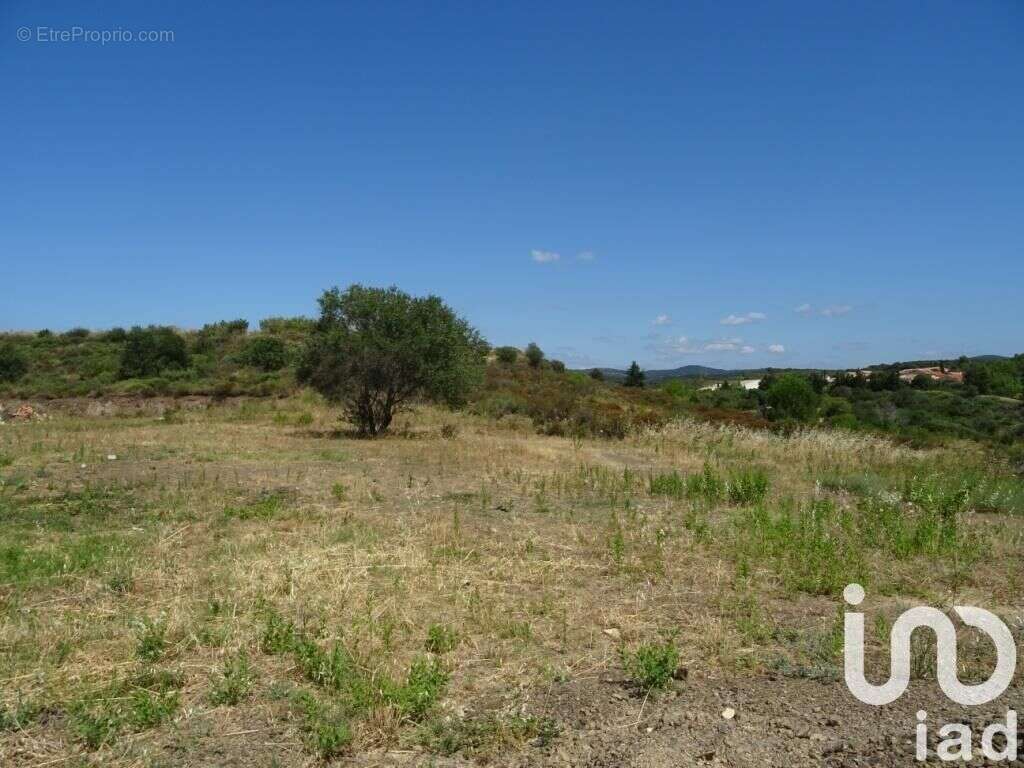 Photo 3 - Terrain à LAURENS
