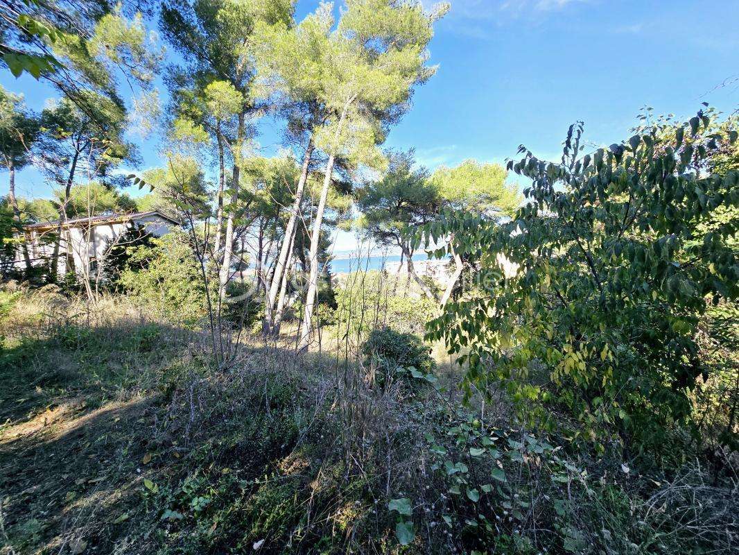 Terrain à SETE