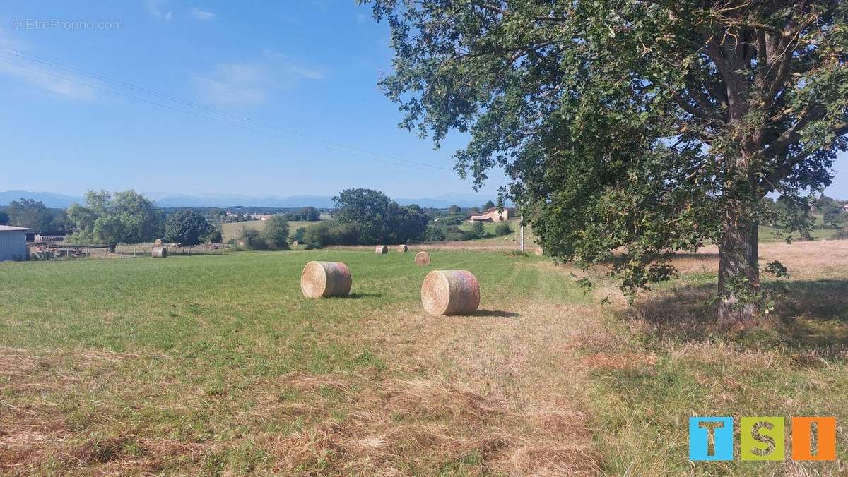 Terrain à CIADOUX
