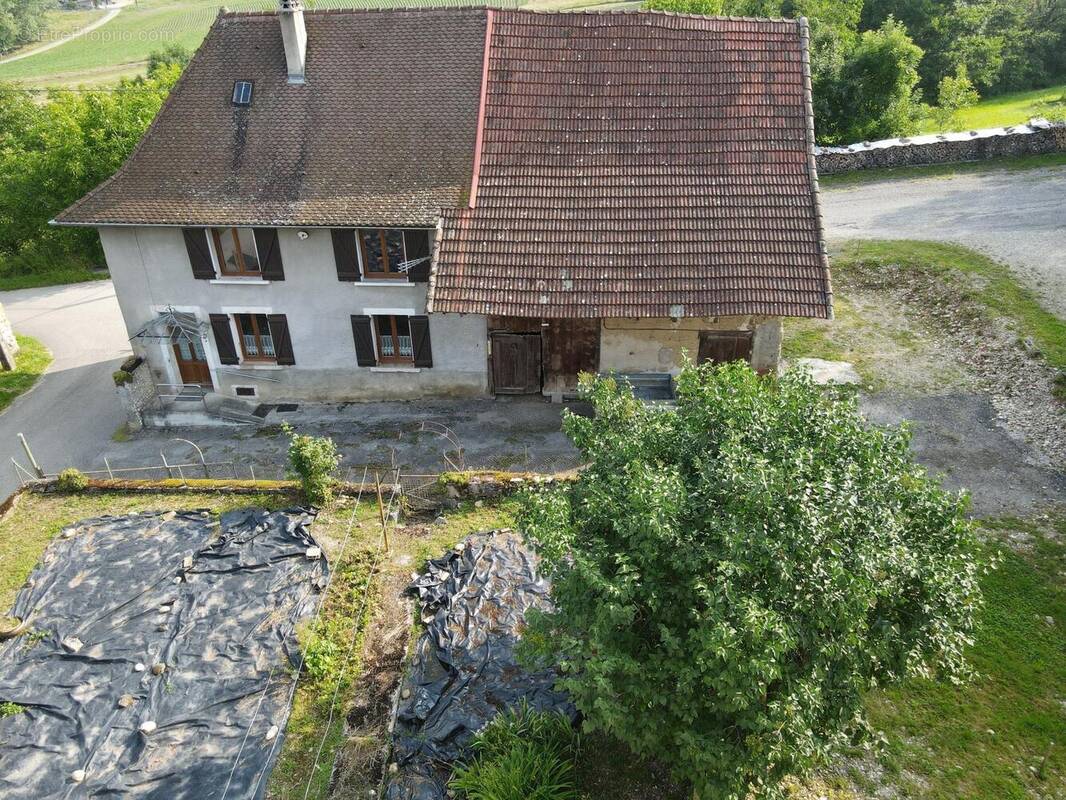 Photo 1 - Maison à VIRIEU
