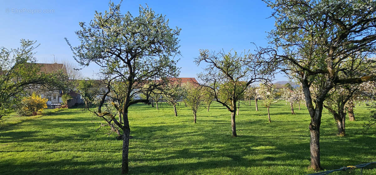 Terrain à VIGNEULLES-LES-HATTONCHATEL