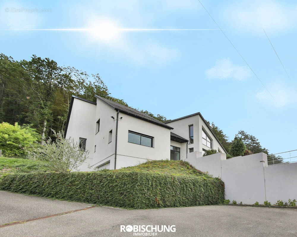 Maison à TAGOLSHEIM