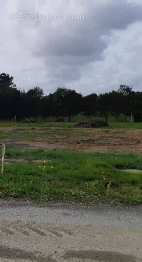 Terrain à VILLEDOUX