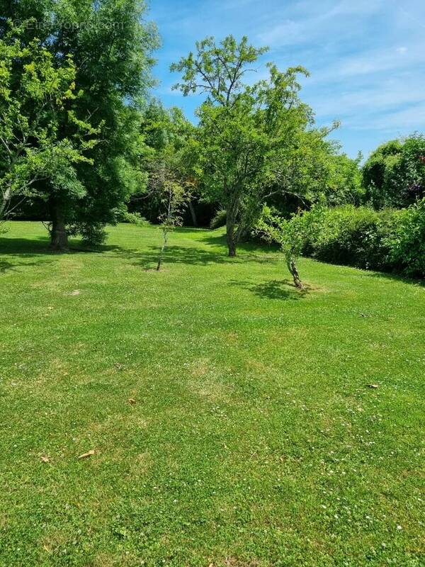 Terrain à MOUROUX