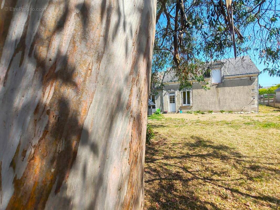 Photo 1 - Maison à LA FLECHE