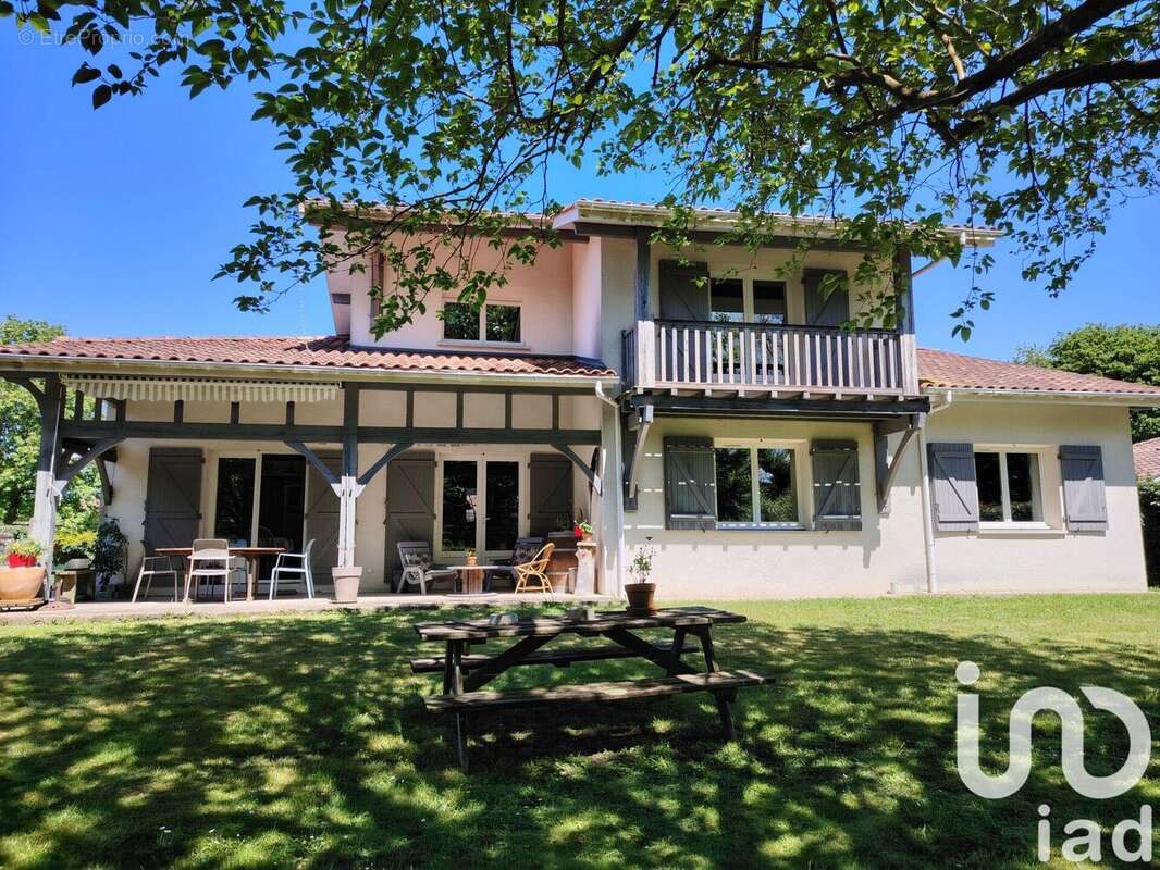 Photo 2 - Maison à TOSSE