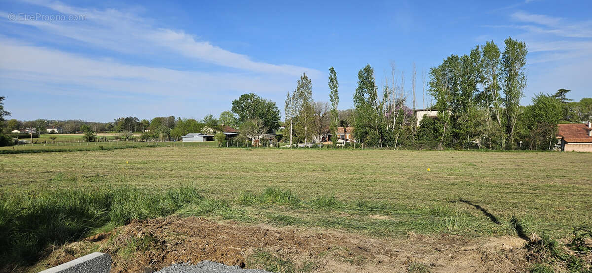 Terrain à ALBI