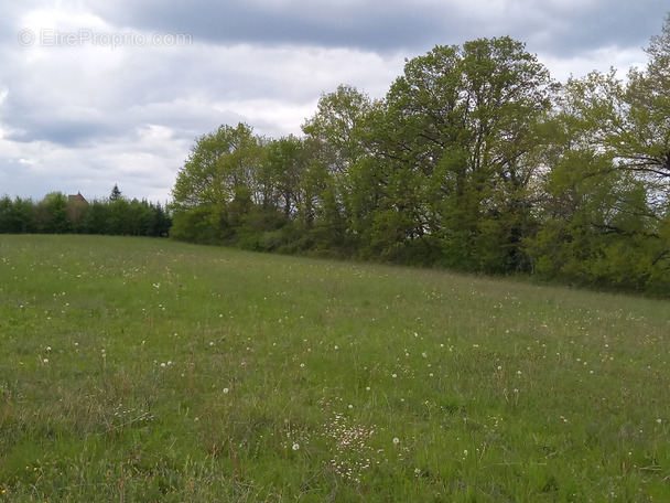 Terrain à CAPDROT