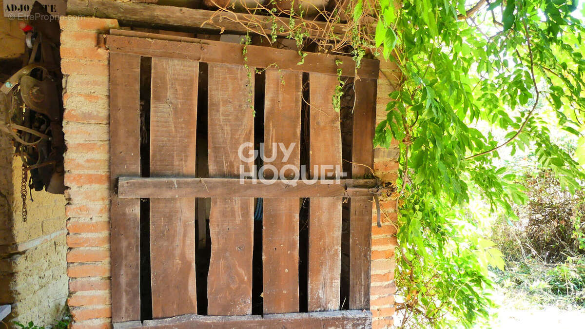 Maison à FRONTON