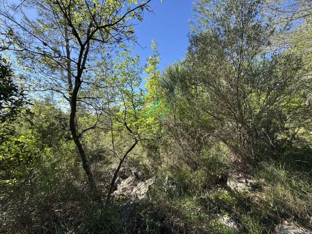 Terrain à LE ROURET