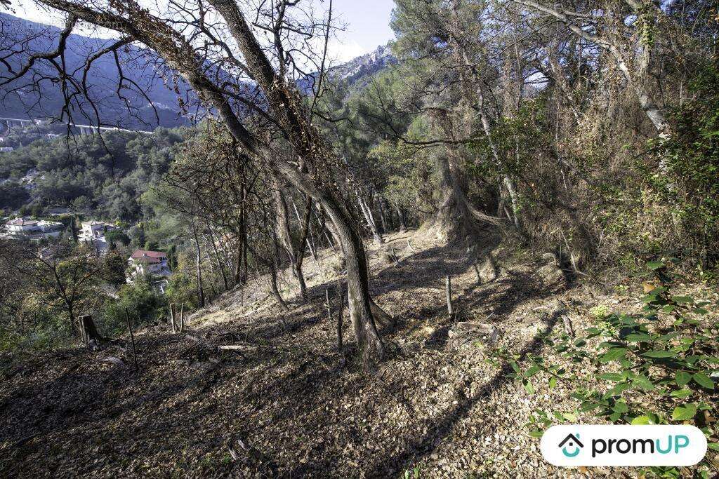 Terrain à GORBIO
