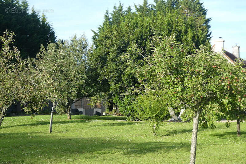 Maison à LOCHES