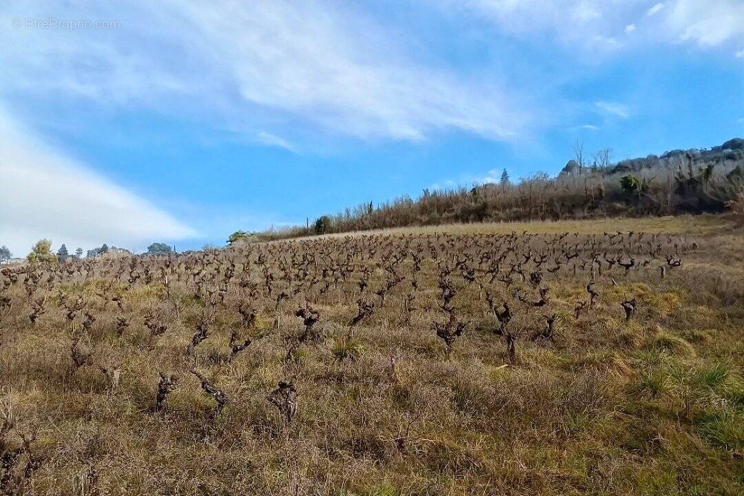 Terrain à ALBI