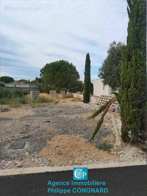 Photo 1 - Terrain à MARSEILLAN