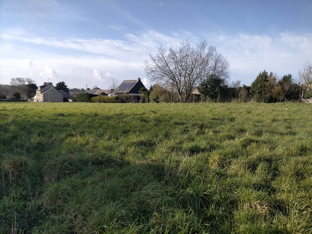 Terrain à PLESSIX-BALISSON