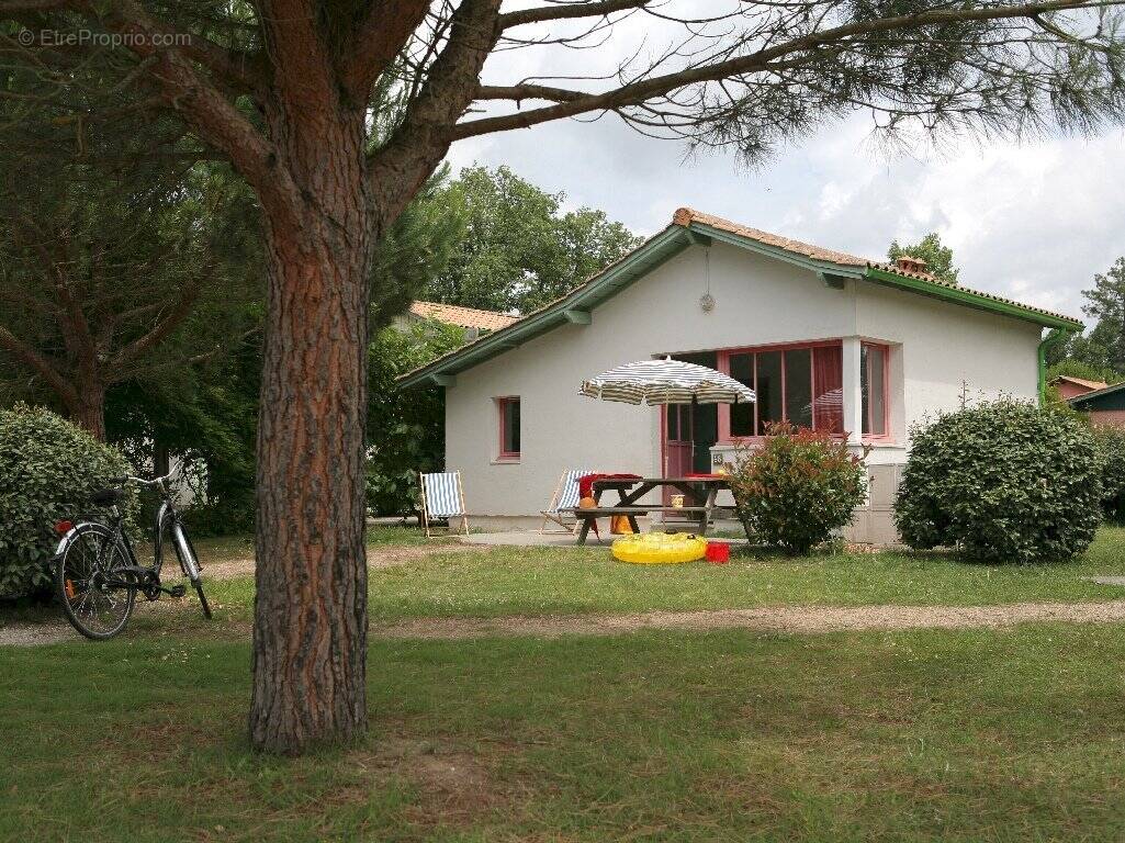 Appartement à ARES