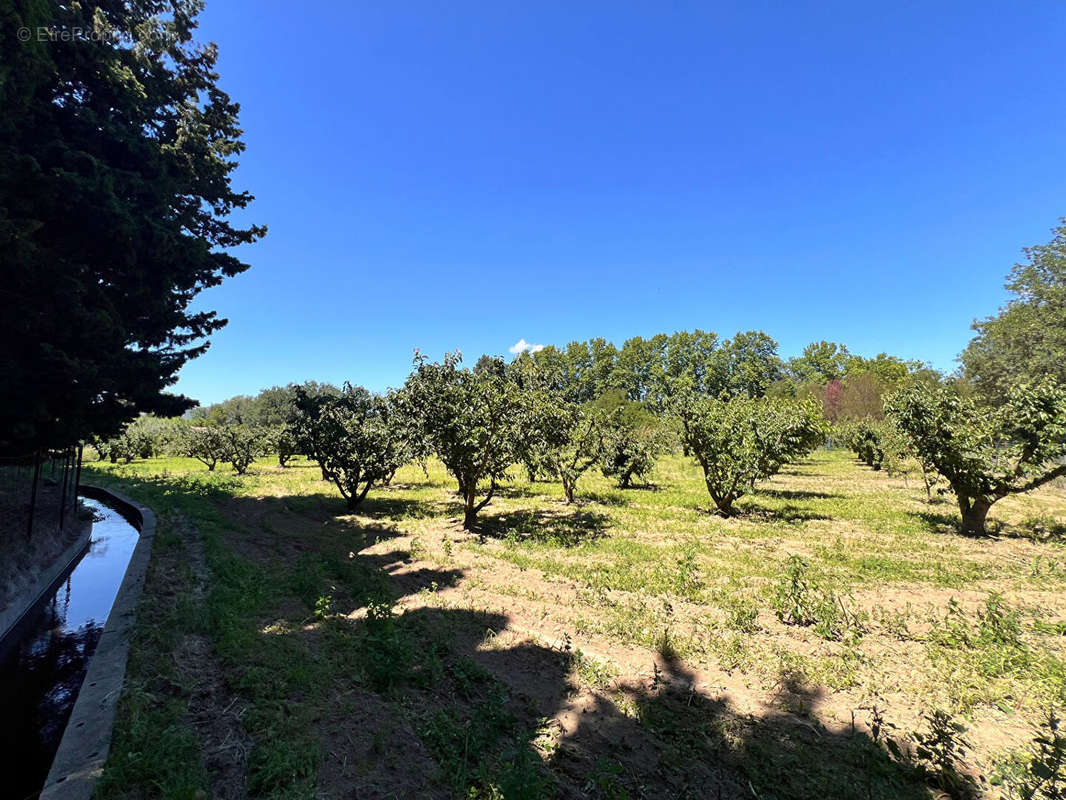 Terrain à PEZILLA-LA-RIVIERE
