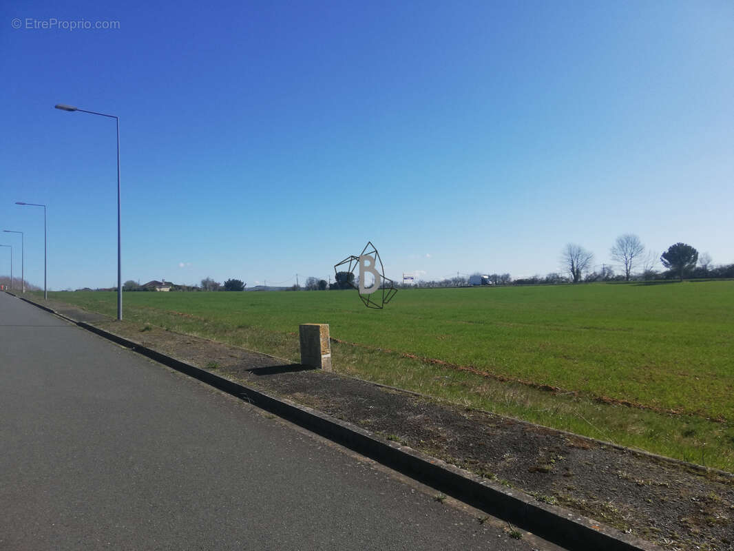 Terrain à PAMPELONNE