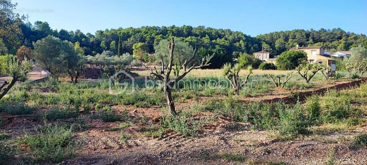 Terrain à CLERMONT-L&#039;HERAULT