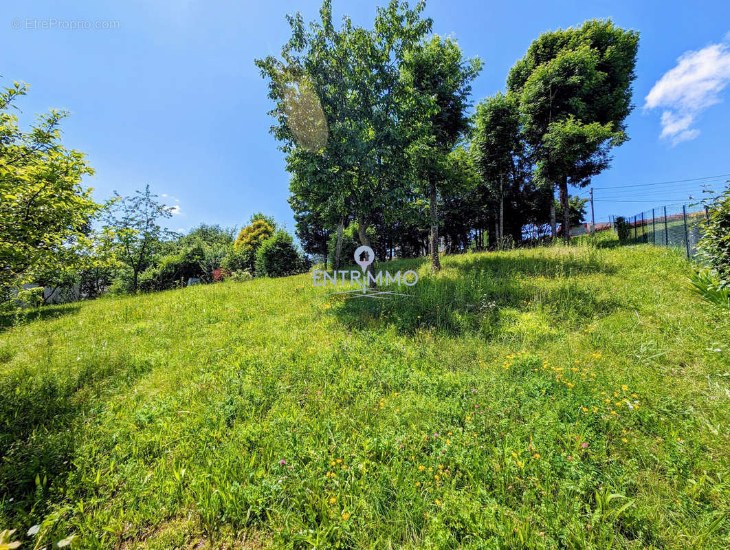 Terrain à ALBENS