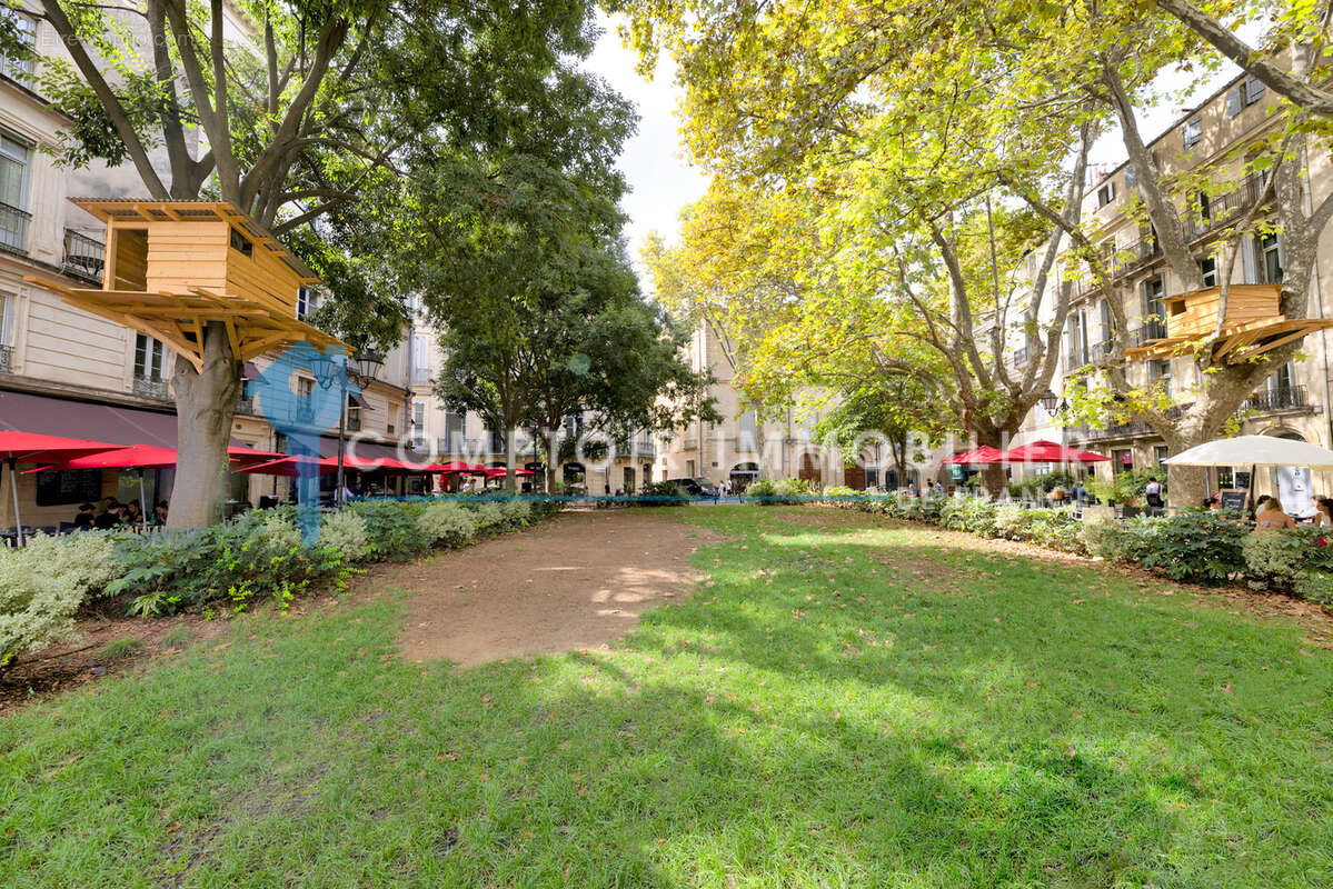 Appartement à MONTPELLIER