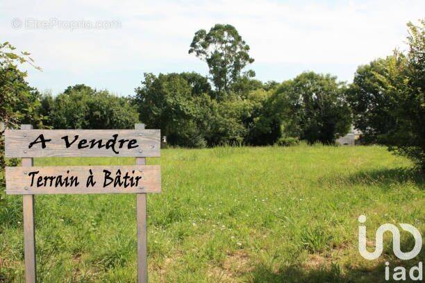 Photo 1 - Terrain à CAMPAGNE-LES-HESDIN