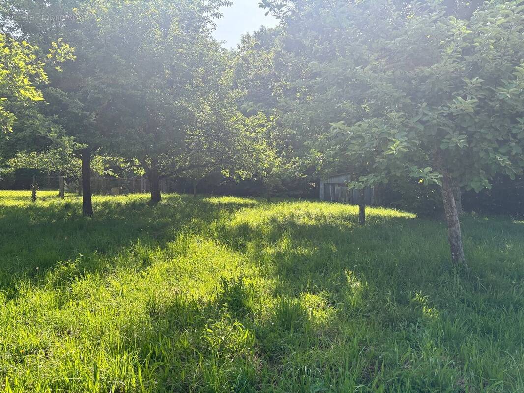 Terrain à CHAMBERET