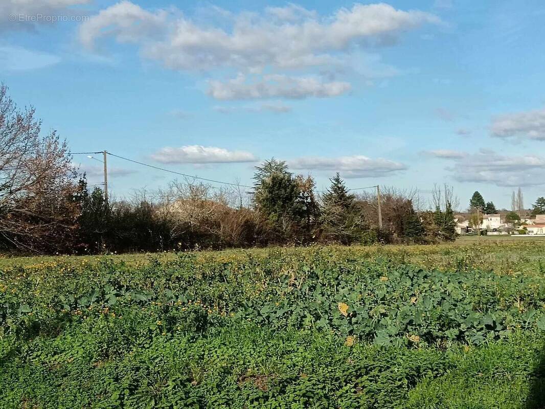 Terrain à TESSON