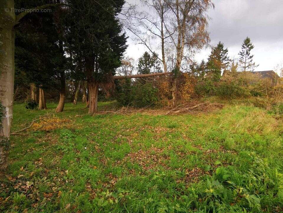 Terrain à WERVICQ-SUD