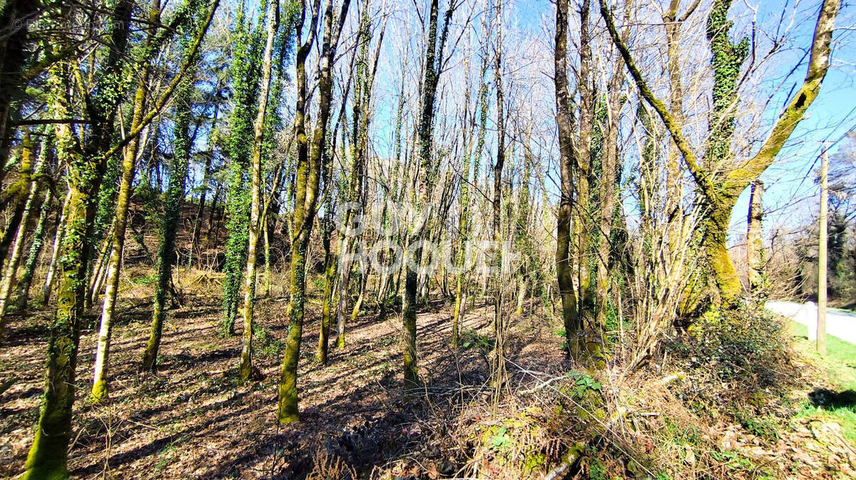 Terrain à PLAUDREN