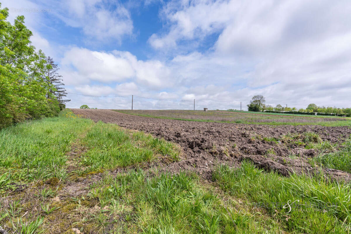 Terrain à DOMPIERRE-SUR-CHARENTE