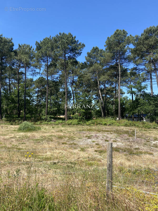 Terrain à MARTIGNAS-SUR-JALLE