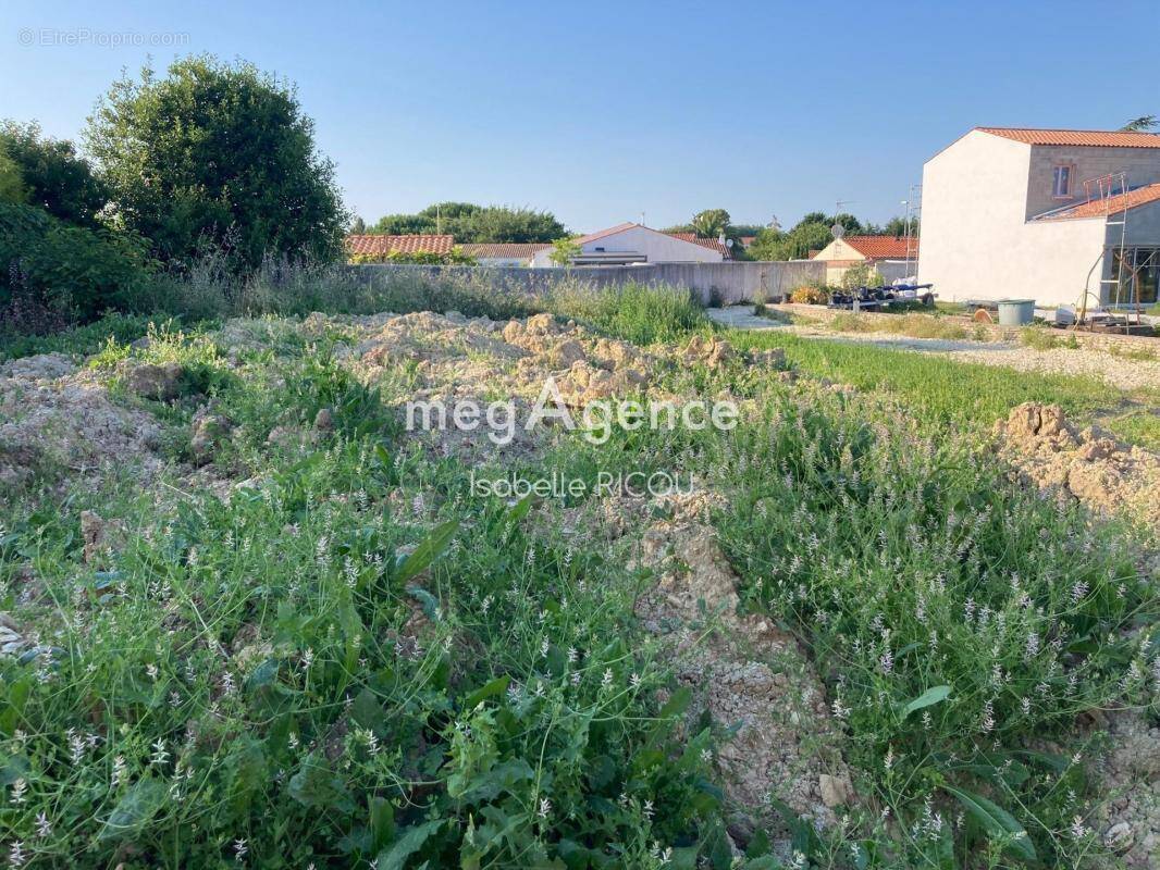Terrain à LE CHATEAU-D&#039;OLERON