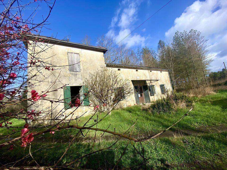 Maison à VILLANDRAUT