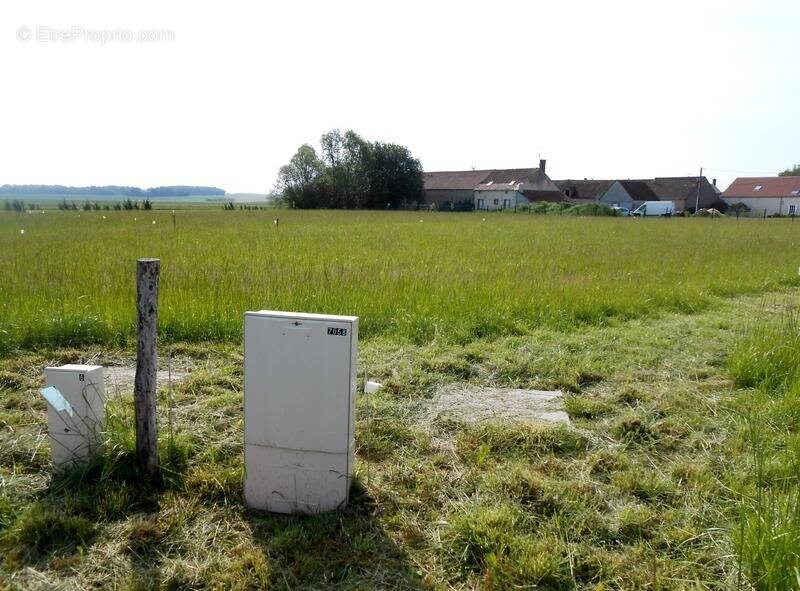 Terrain à LA SELLE-SUR-LE-BIED