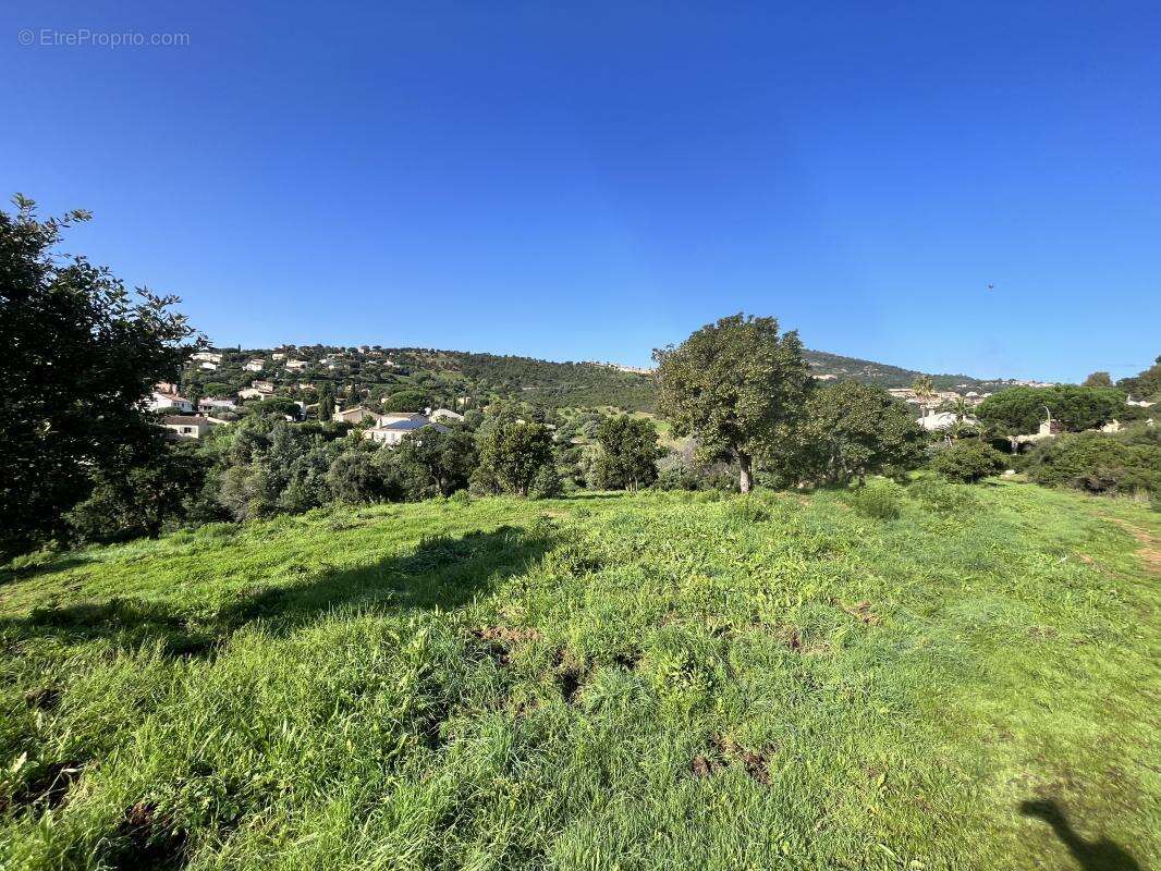 Terrain à LES ISSAMBRES