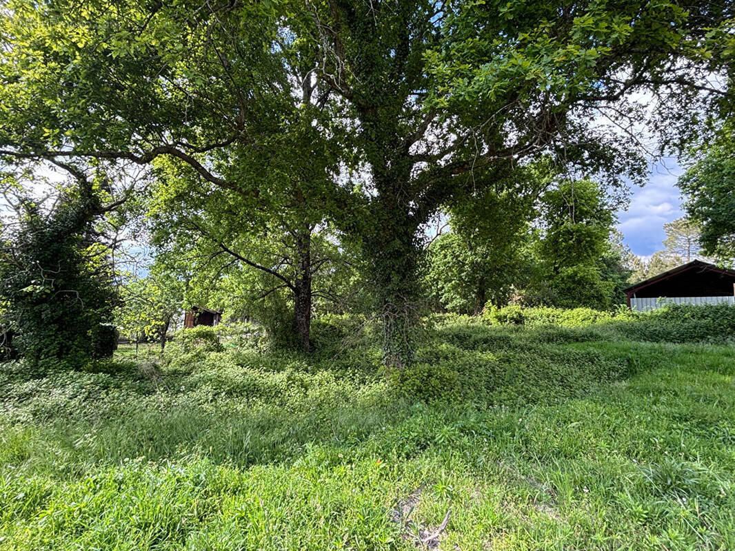 Terrain à COMMENSACQ