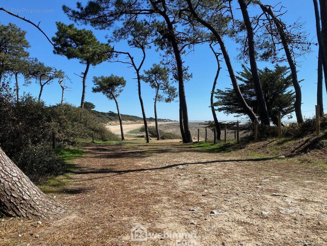 Sentiers du domaine. - Appartement à JARD-SUR-MER