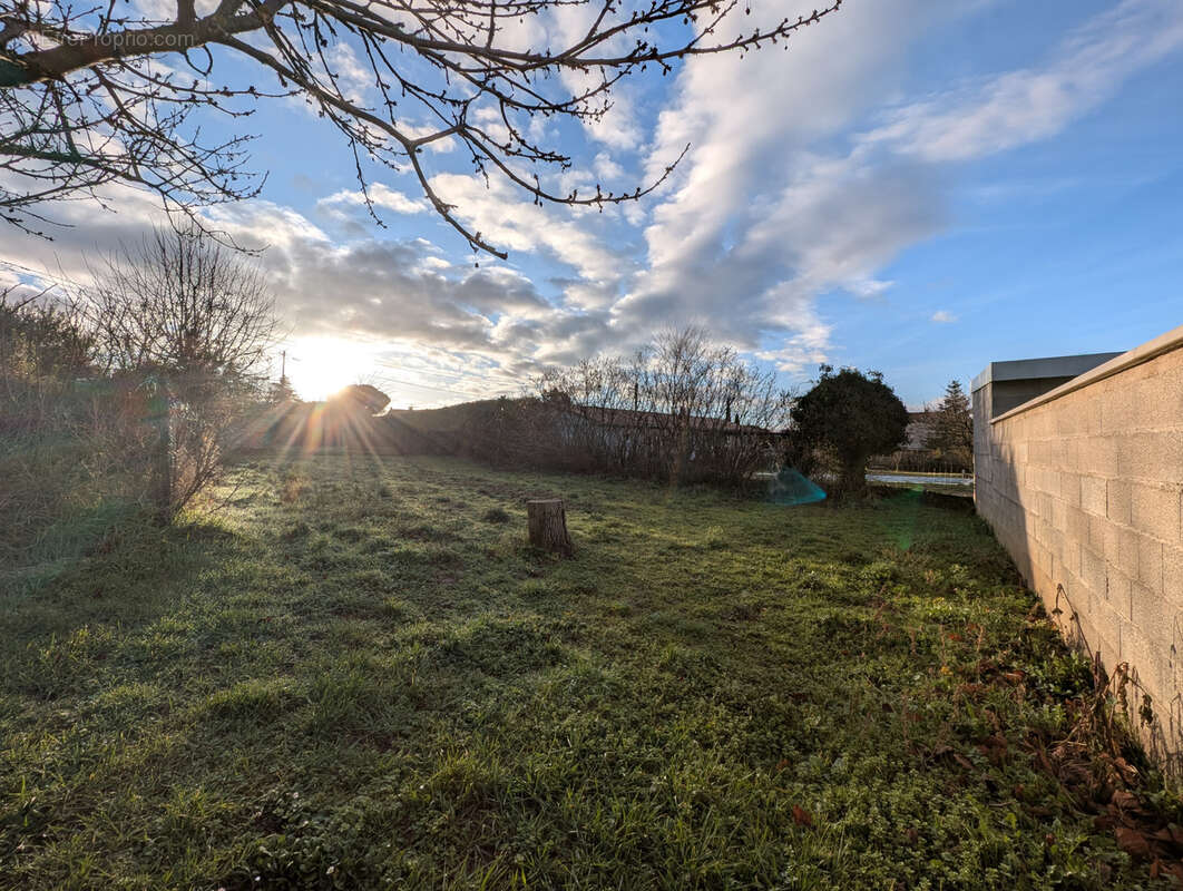 Terrain à CHARMES-SUR-RHONE
