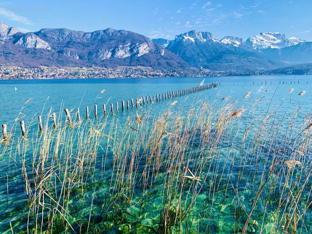 Commerce à ANNECY