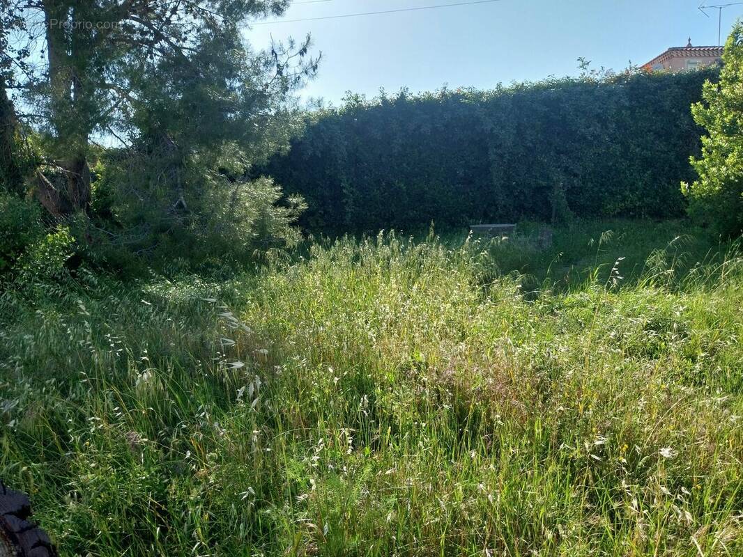 Terrain à CLERMONT-L&#039;HERAULT