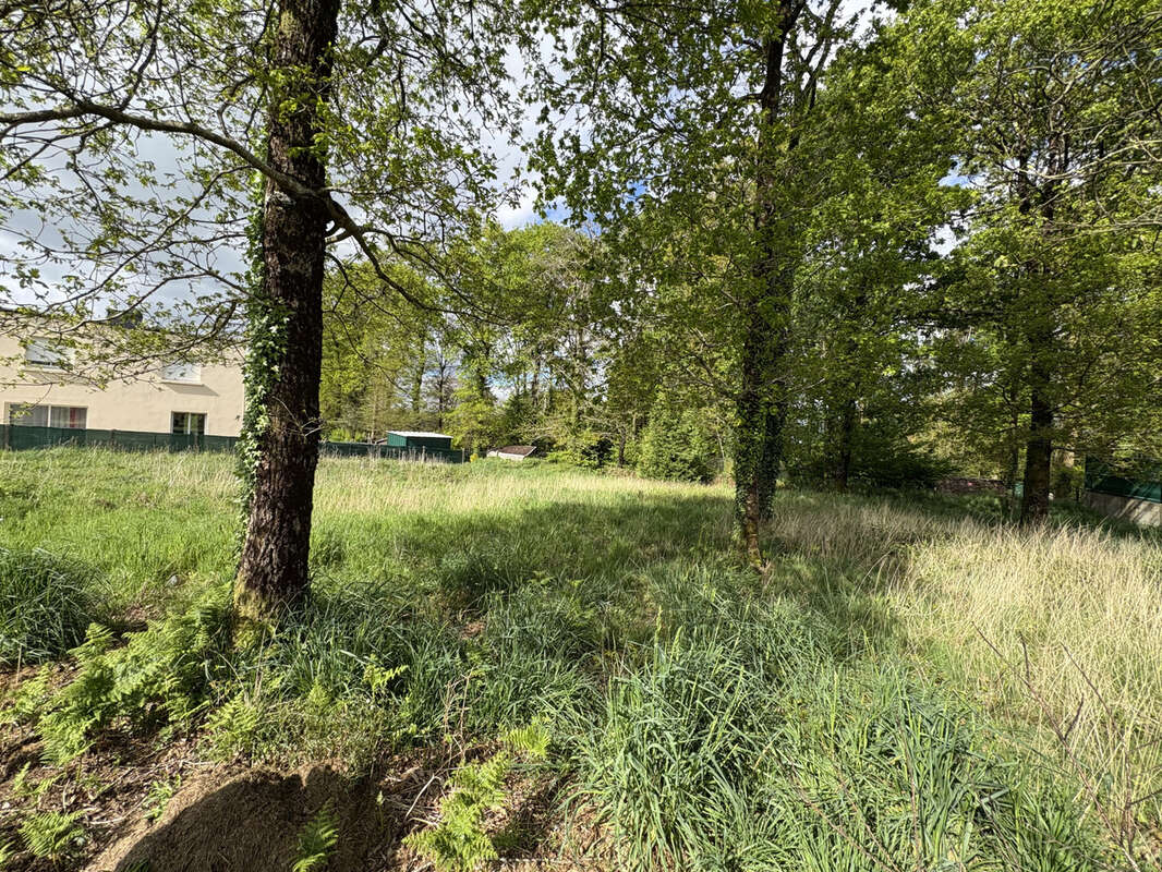 Terrain à CAMORS