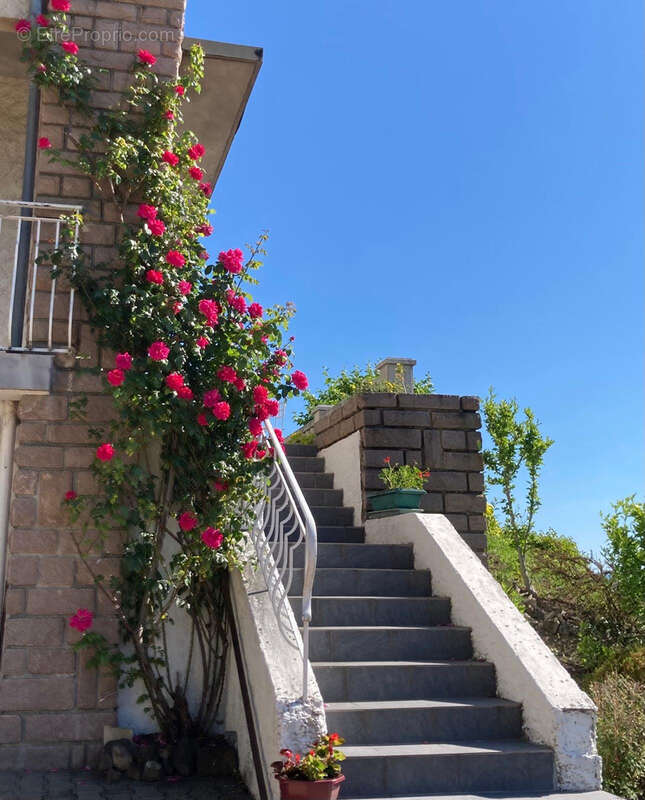 Maison à DALLET