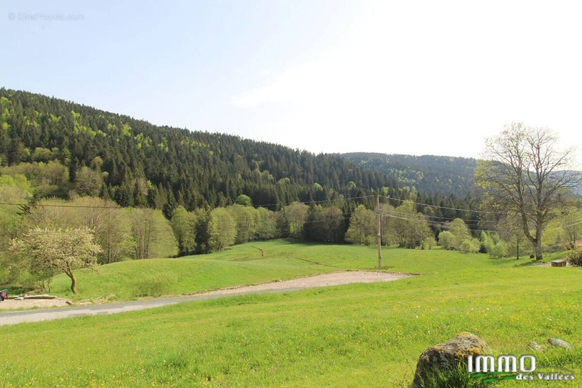 Terrain à GERARDMER