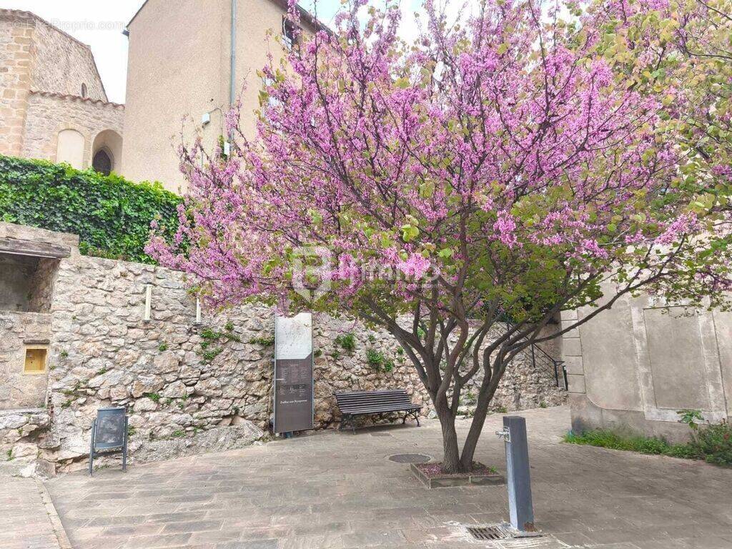 Maison à DUILHAC-SOUS-PEYREPERTUSE