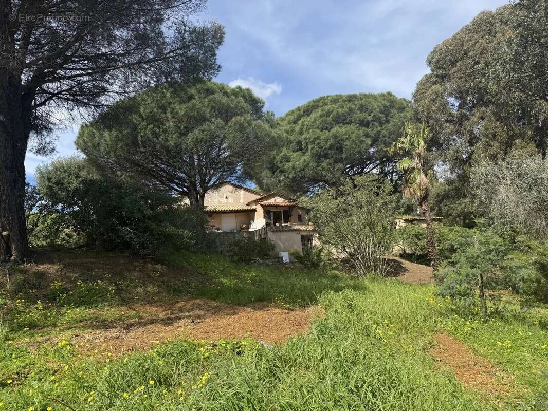 Maison à GRIMAUD