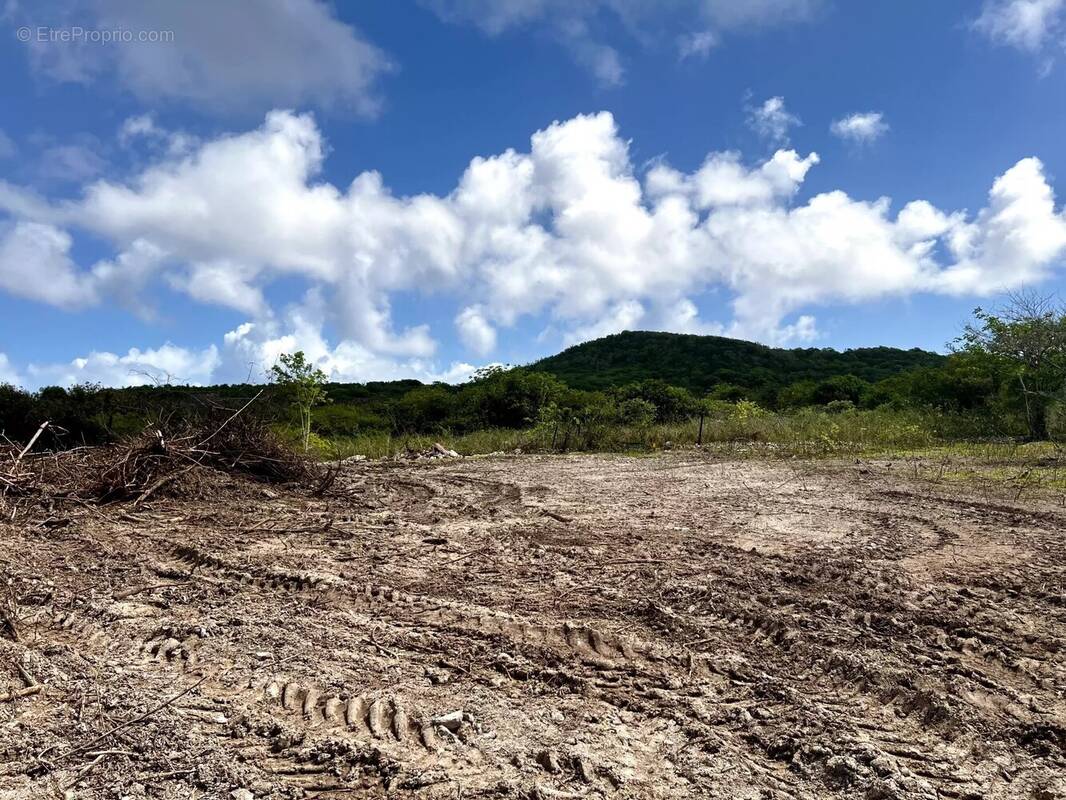 Terrain à LA DESIRADE