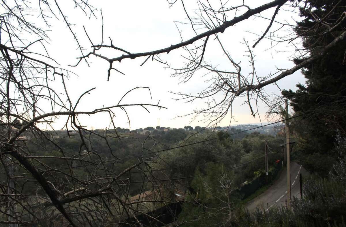 Terrain à COLOMARS