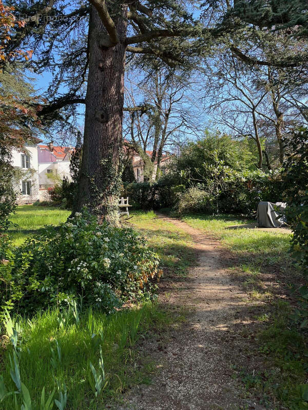 Appartement à TASSIN-LA-DEMI-LUNE